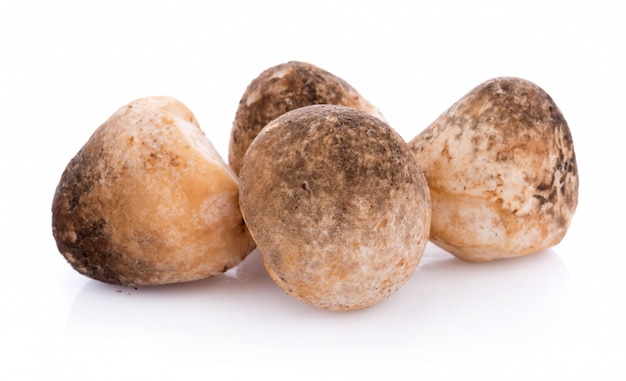 Straw mushrooms isolated on white background