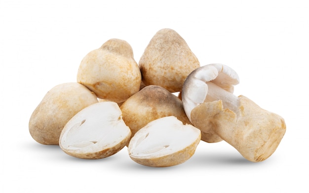 Straw mushrooms on white table. 