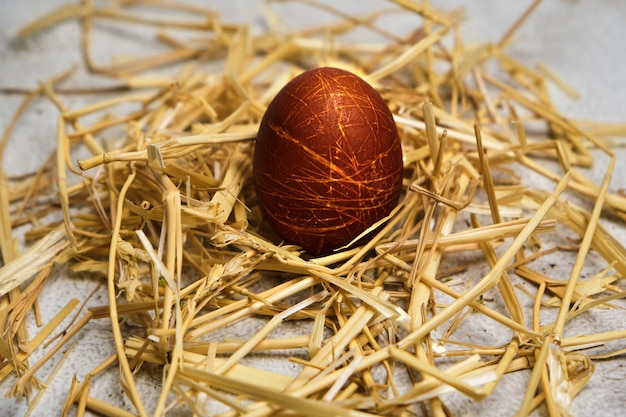 Соломенное гнездо с одним пасхальным коричневым яйцом крупным планом