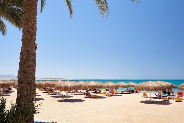 Straw shade umbrellas on sea tropical beach with resting sunbeds against blue vibrant sky in summer