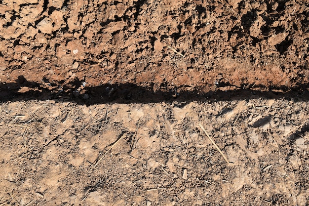 Foto grumo di terra e paglia nel campo di riso prima di piantare il riso