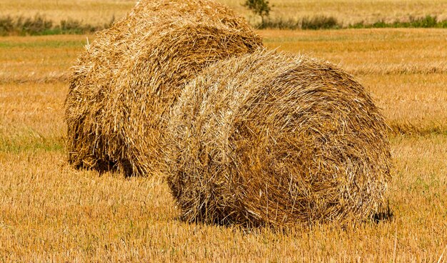 Straw stack