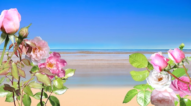 straw tent and tropical palm on  beach,blue sea and sky white sand sun flares  pink  flowers summer