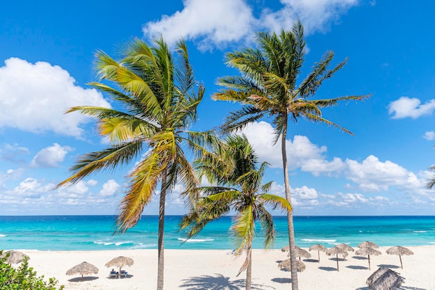 青い曇り空と海の美しいカリブ海の風景のターコイズブルーの水に対して熱帯のビーチの緑豊かなヤシの木のわら傘