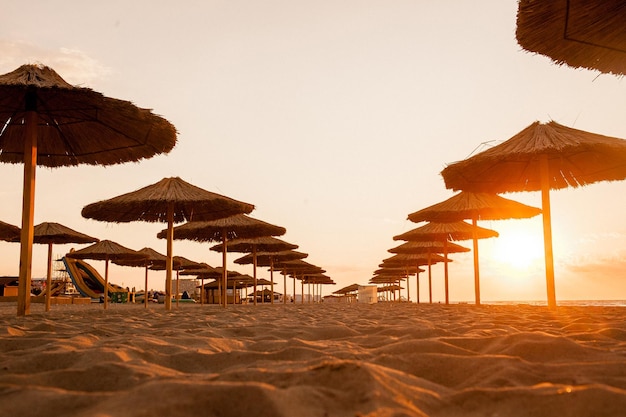 Straw umbrellas on the beach near the ocean and sea