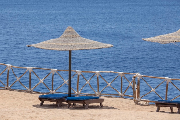 Straw umbrellas with wooden sun loungers next to the red sea on sand beach at the resort in Sharm El Sheikh Egypt