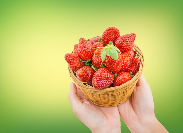 Strawberries in basket on hand