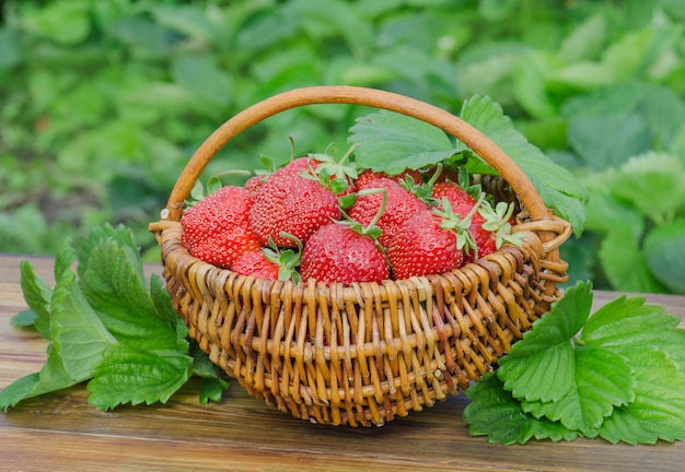 Strawberries in basket on wooden table outdoor