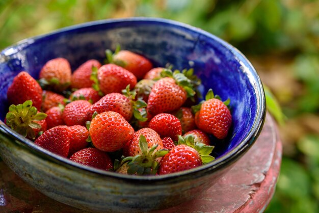 Strawberries on a blue clay brick.