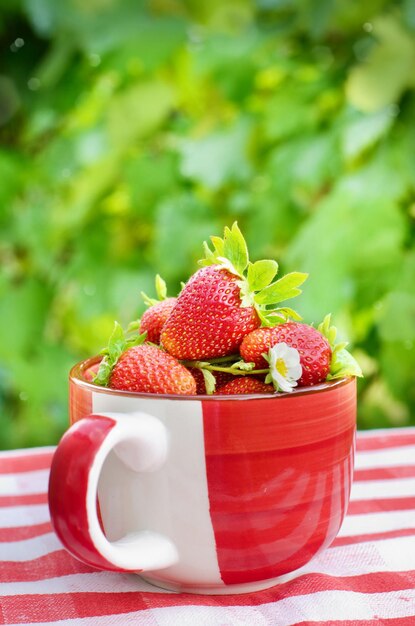 Photo strawberries in a bowl