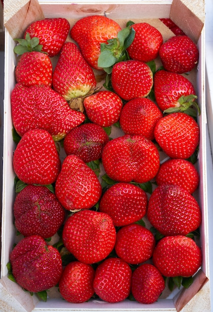 Strawberries in boxes at market