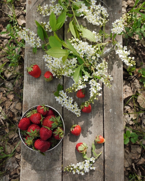 Strawberries and cherry blossom flowers on the old table