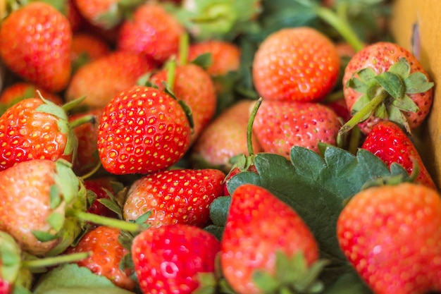 Photo strawberries  in paper box.