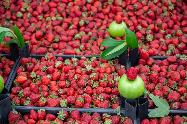 Strawberries on sale in a street bazaar Red ripe strawberry background