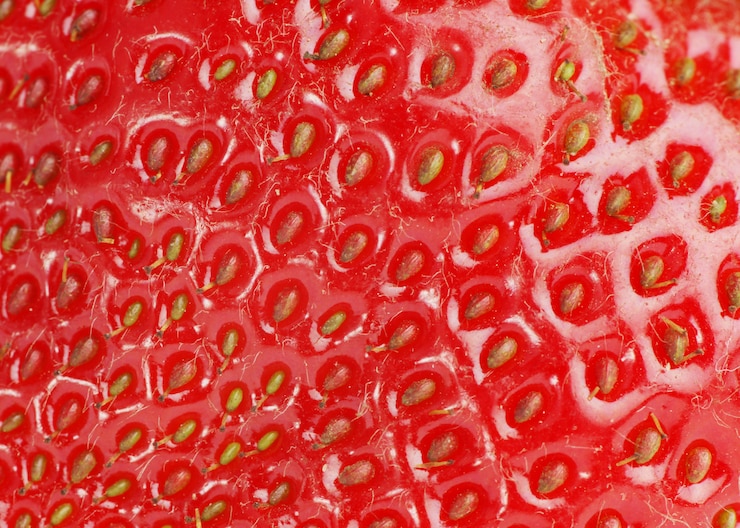Photo strawberries texture background