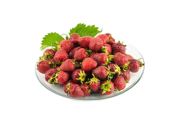 흰색 배경에 고립 된 투명 유리 접시에 딸기. 붉은 익은 열매, 신선한 육즙 딸기