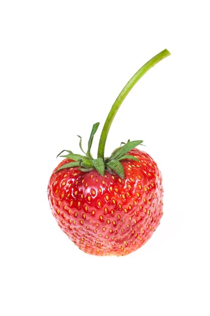 Strawberries  on white background.