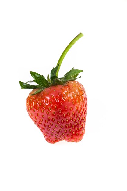 Strawberries  on white background.