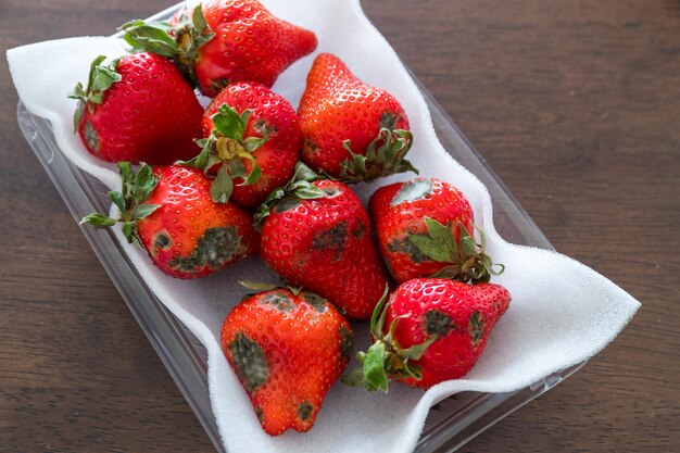 Strawberries with mold