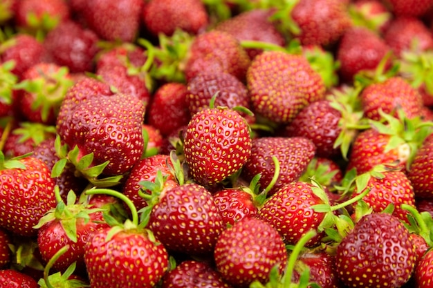 Strawberry background. Heap of red ripe strawberries, fresh summer berries