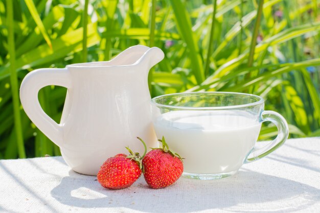 Strawberry berries, a jug and a cup with milk on a wooden table in the sun