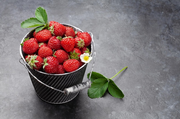 Strawberry in bucket