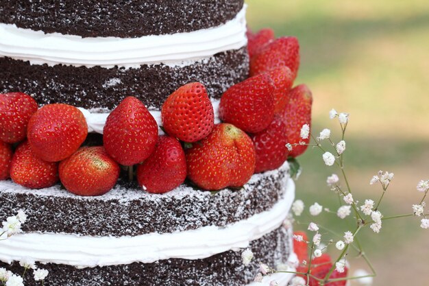 Strawberry on chocolate cake outdoor, wedding cake