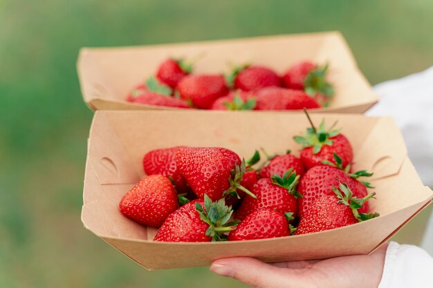 Strawberry in disposable eco plate in woman hands on green wall