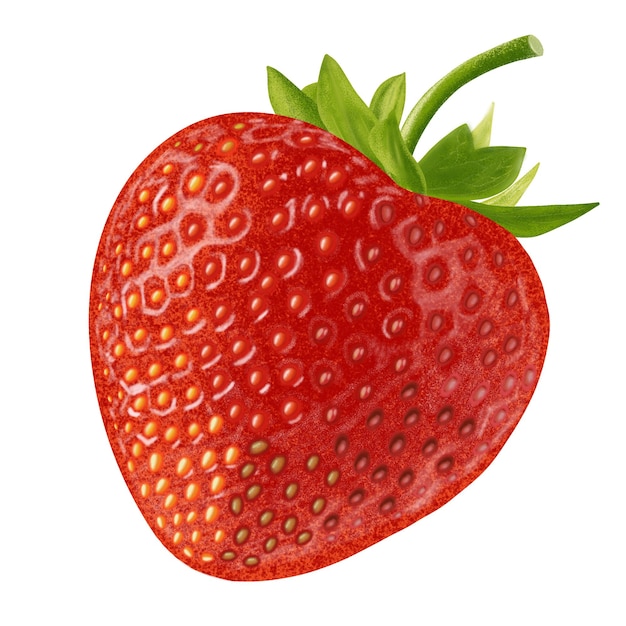 Strawberry fresh fruit illustration color painting