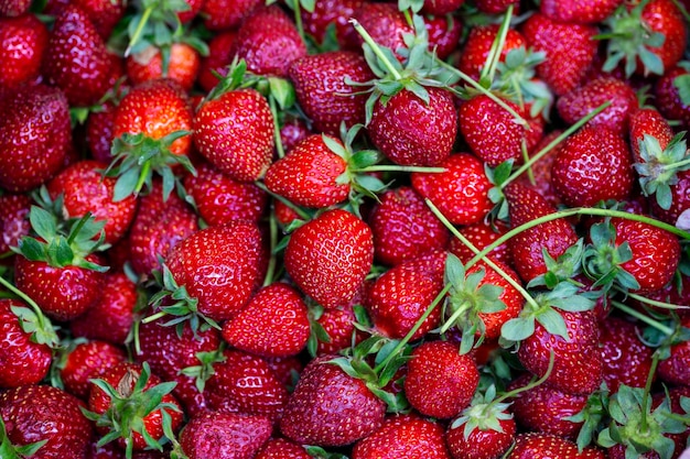 Strawberry Fresh organic berries macro Fruit backgroundxA