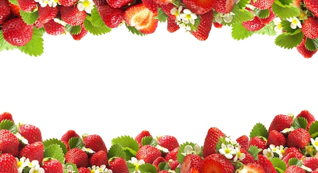 Strawberry fruit