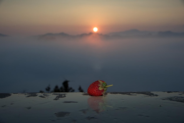 A strawberry and its reflection on a wooden table with sunrise mountain foggy day in backgrond