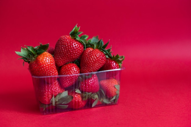 Photo strawberry on a red background