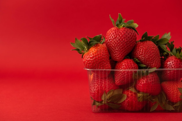 Foto fragola su sfondo rosso