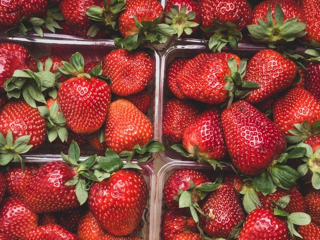 Strawberry ripe packed in plastic boxes