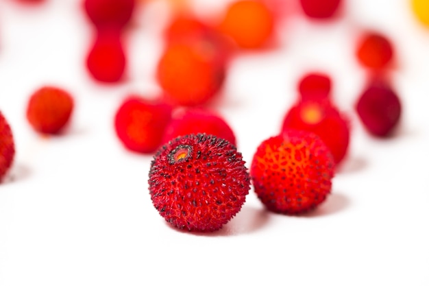 Strawberry Tree (Arbutus Unedo) fruit