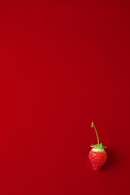 The strawberry with red background