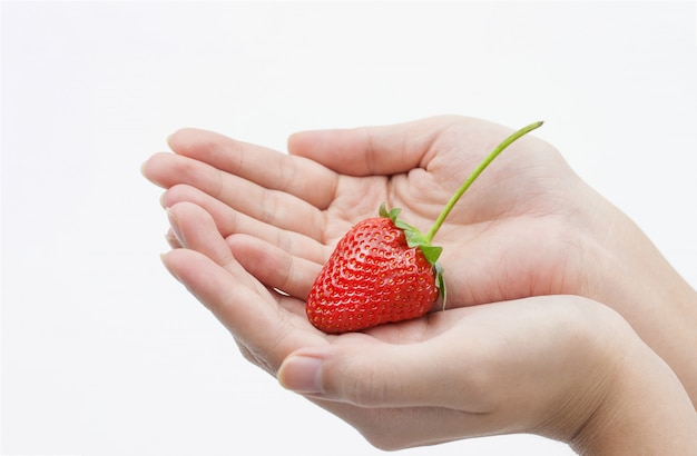 Strawberry in woman  hand isolated