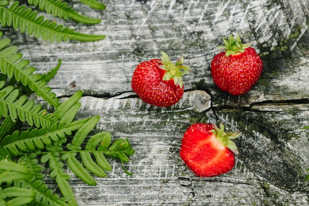 Strawberry on a wooden gray table, fern leaves, strawberry season, top view