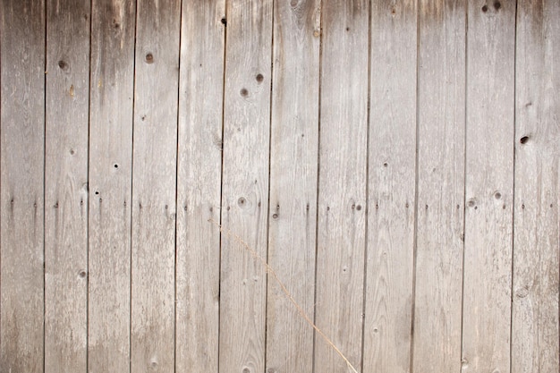 Stray colored wooden shabby texture Wooden wall