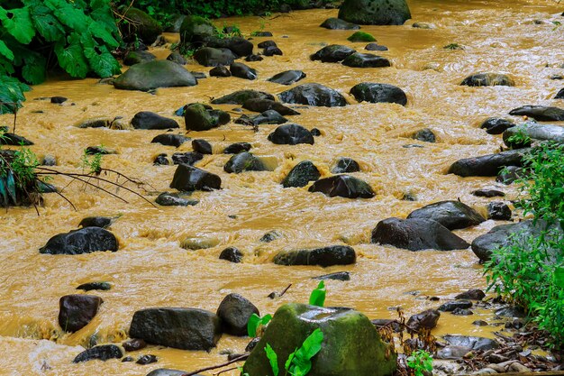 Stream after rain