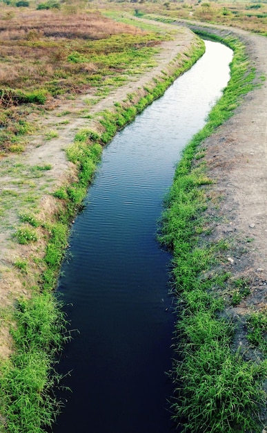 Stream along trees in the forest