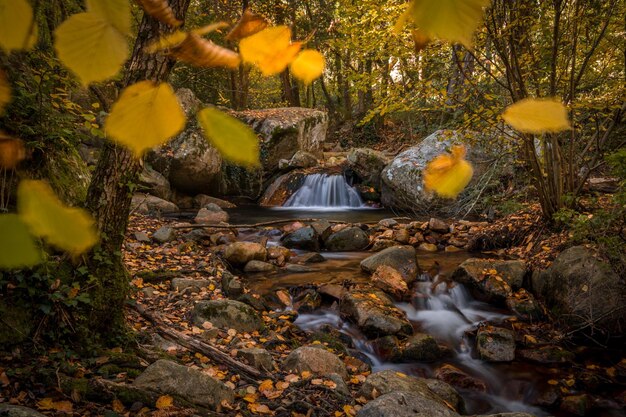 Photo stream among rocks in forest during autumn in montseny