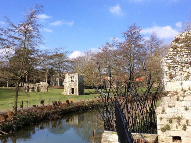 Foto un ruscello tra gli alberi nudi e le vecchie rovine sul campo