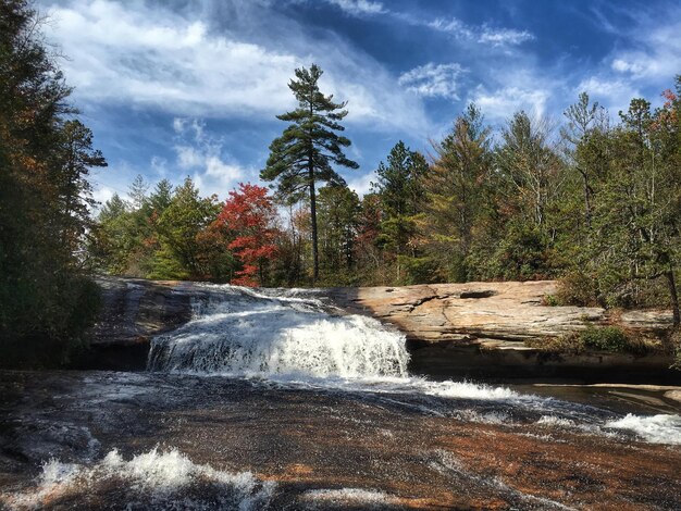 Photo stream flowing in forest against sky