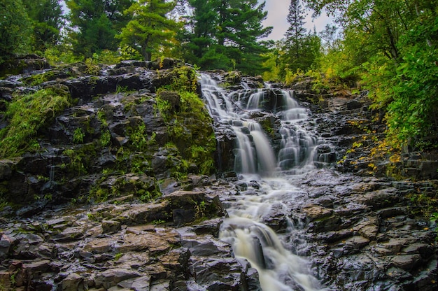 Stream flowing through rock formation at forest