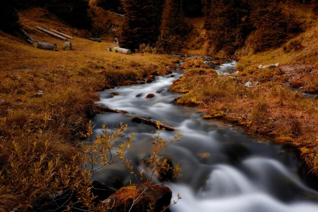 Stream flowing through rocks in forest