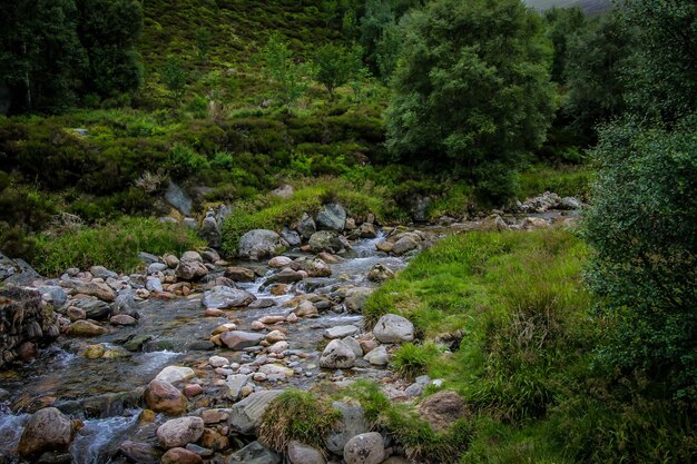 Photo stream flowing through rocks in forest