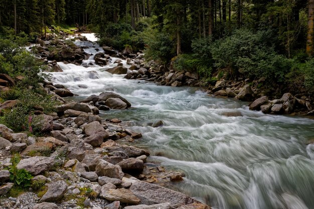 Photo stream flowing through rocks in forest