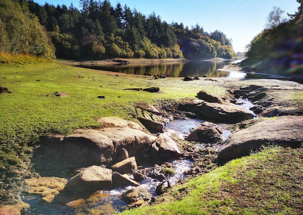 Stream flowing through rocks in forest